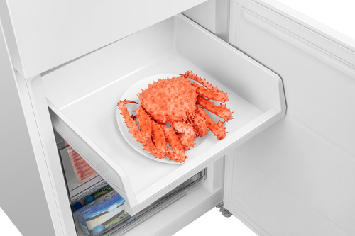 TCL RP456BWE0NE combi-fridge Freestanding – image 8