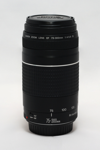Canon EOS 600D + 18-55mm DC + 75-300mm DC – image 2