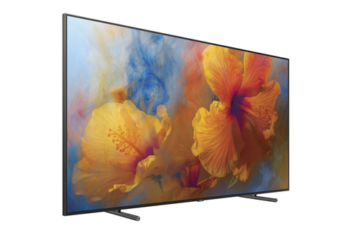 Samsung Q9F QE65Q9FAMT – image 4