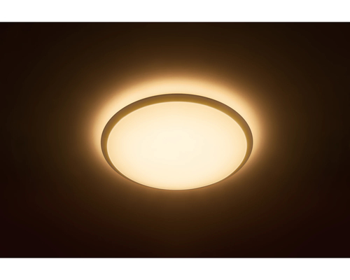 Philips Plafondlamp Led Wawel 17w, afbeelding 2