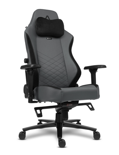 Alpha Gamer Alegra EVO Silla para videojuegos universal Asiento acolchado Gris