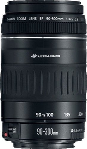 Canon EF 90-300mm f/4.5-5.6 USM