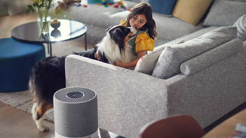 Philips 3000i Series AC3033/30R1 Air Purifier for XL Rooms - Refurbished – image 9