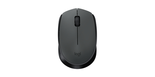 Kit de Teclado y Mouse LOGITECH 920-007901