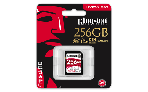 Kingston Technology SD Canvas React – image 3