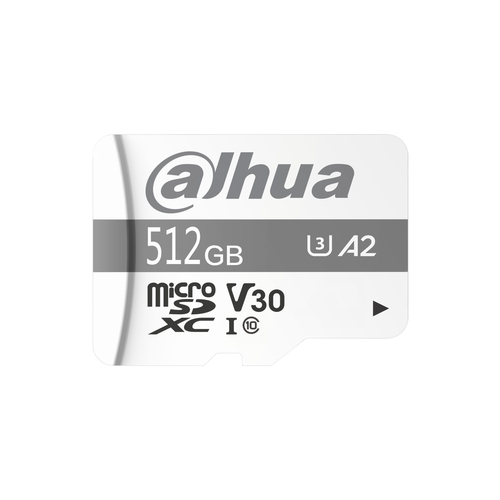 Dahua Technology TF-P100/512G