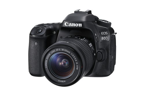 Canon 80D + EF-S 18-55mm f/3.5-5.6 IS STM – image 8