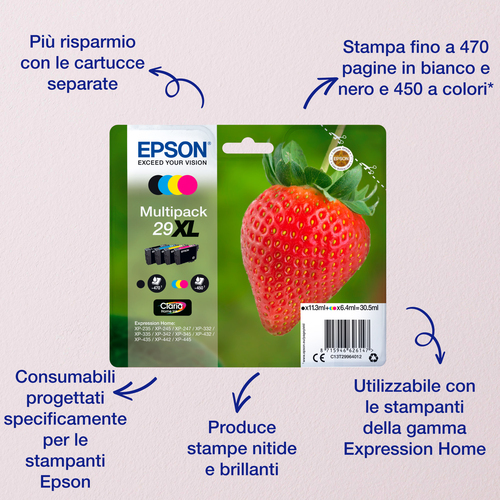 CART. BRAND MULTIPACK 29 C13T29864012