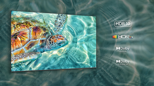 TCL C845 55C845K TV – image 5