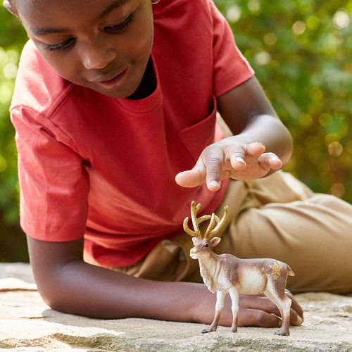 Schleich Wild Life - Rendier speelfiguur, afbeelding 7