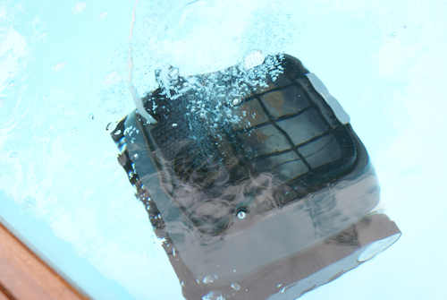 Interline Catfish 2.0 – image 7