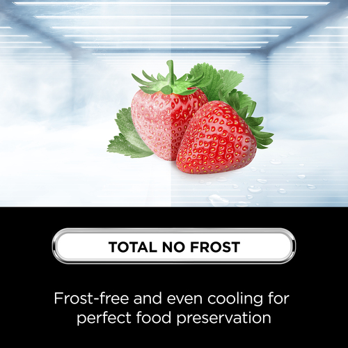 TCL RP318BSE1UK fridge-freezer Freestanding – image 8