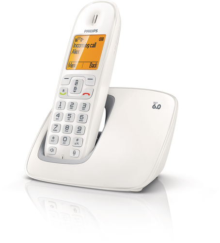 Philips BeNear Cordless phone CD2901W/BR