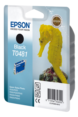 Epson Singlepack Black T0481