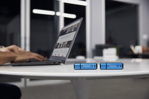 KINGSTON 256GB IronKey Vault Privacy USB