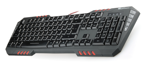 GENESIS RX55 keyboard Gaming USB QWERTY Black – image 2