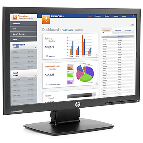 HP ProDisplay P202m 20-inch Monitor (ENERGY STAR)