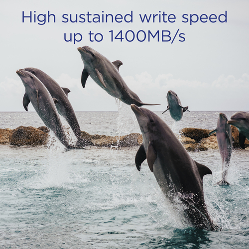 Integral 256GB CFEXPRESS MEMORY CARD 2.0 TYPE B UP TO R-1700 W-1400 MBS SUSTAINED WRITE - 1400MBS CINEMATIC GOLD 12K 0-70C pSLC TBW 2500 – image 2