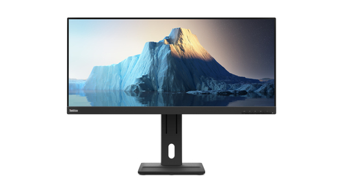 Lenovo ThinkVision E29w-20 computer monitor