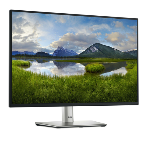 DELL 24 USB-C Hub Monitor P2425E