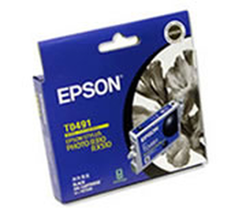 Epson T0491 ink cartridge Original Black