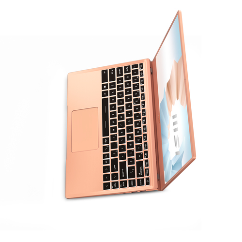 MSI 14 B11MO-079XES – image 6