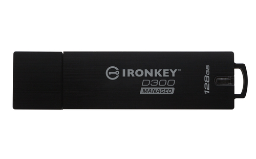 Kingston Technology IKD300M 128GB – image 3