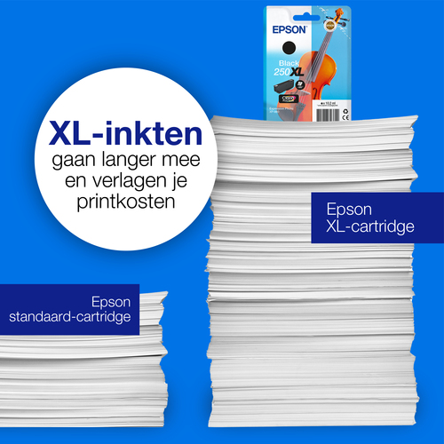Epson 250XL Cartridge Zwart, afbeelding 6