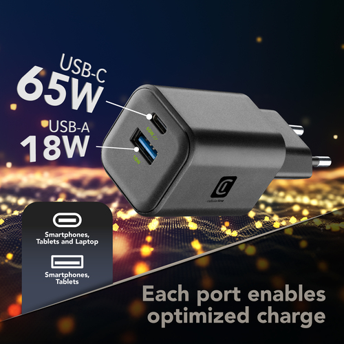 Cellularline MULTIPOWER 2 GAN ENTRY A+C – image 5