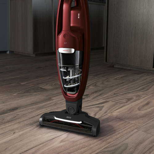 AEG QX7-ANIM - 900277549 – image 8