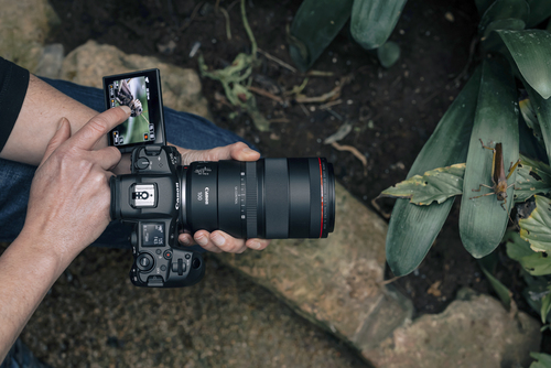 Canon RF 100mm F2.8L Macro IS Usm Lens - image 2
