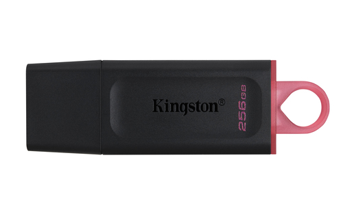 Kingston DataTraveler Exodia USB 3.0 Memory Flash Drive Dtx/256GB in Black Size: 256 GB Black 256 GB - image 1