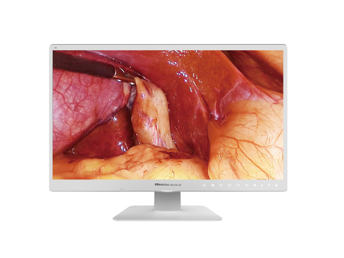 Hisense HME8C32 computer monitor