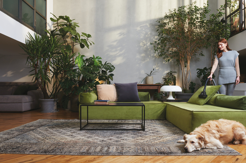 Hoover TXL80PET 011 – image 3