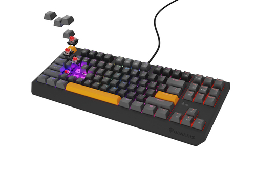 GENESIS NKG-2081 Thor 230 TKL toetsenbord Grijs, afbeelding 2