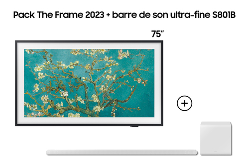 Samsung F-TQ75-HWS8-V1 TV