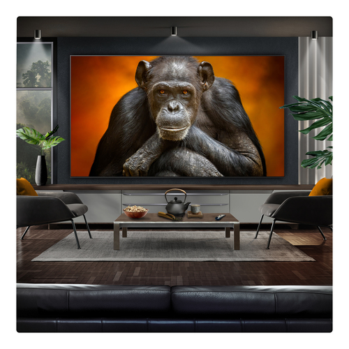 LG OLED97G54LW.AEK TV 2.46 m (97") 4K Ultra HD Smart TV Wi-Fi Metallic – image 9