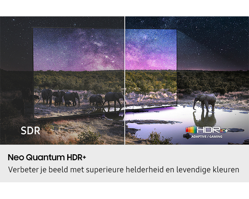 Samsung Neo QLED 4K 115QN90F (2025), afbeelding 6