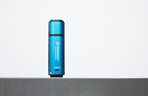 KINGSTON 256GB IronKey Vault Privacy USB