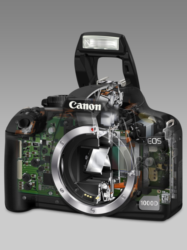 Canon 1000D + EF-S 18-55mm + EF 55-200mm – image 8