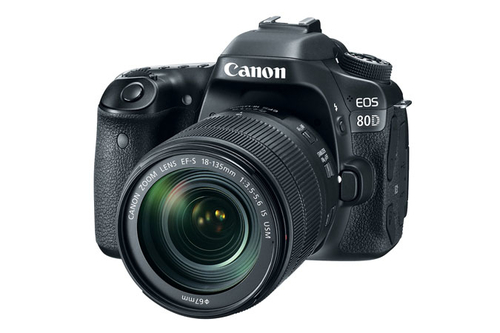 Canon 80D + EF-S 18-135mm & 55-250mm IS USM
