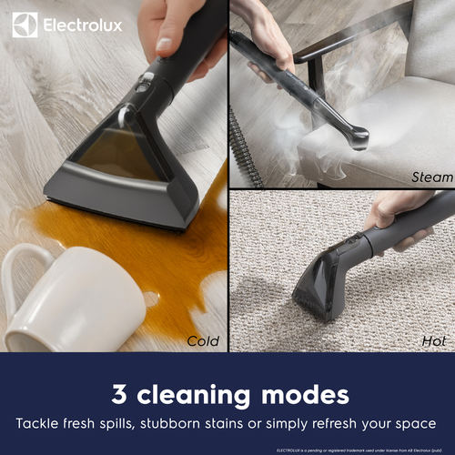 Electrolux Dry&Wet FLR00213ELGRY Spot Cleaner - Grey - image 3