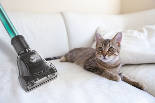 Hoover HU300NXL 001 – image 7