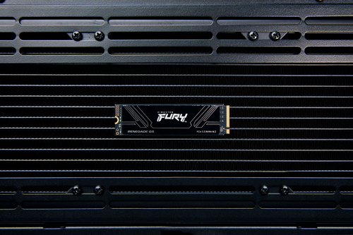 Kingston Fury Renegade G5 1TB PCIe 5.0 NVMe SSD M.2 2280 - SFYR2S/1T0 - Read 14,200MB/s, Write 11,000MB/s - image 7