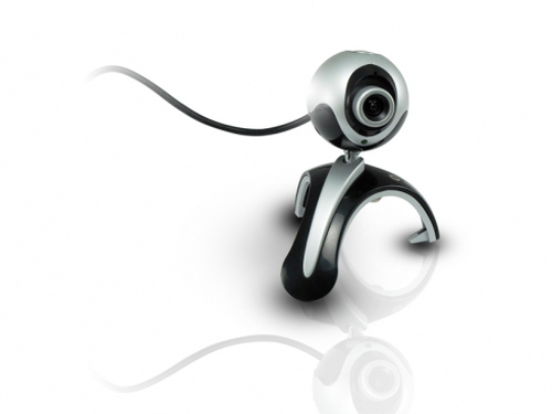 Conceptronic Flexcam 2.0 megapixel with microphone