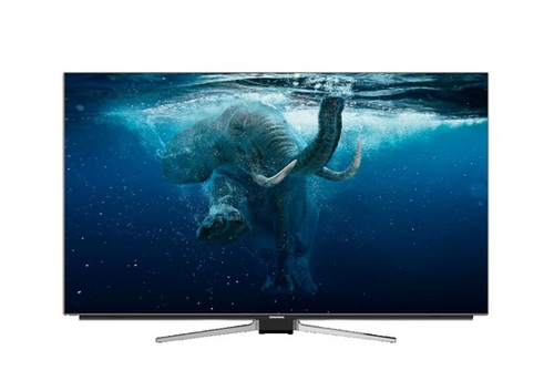 Grundig 55VLO9895BP TV