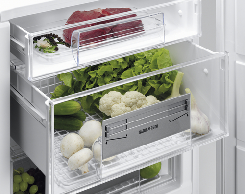 Electrolux ERG3094AOW fridge Freestanding – image 3