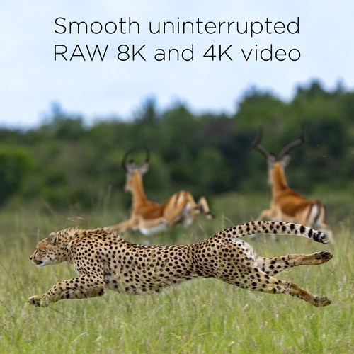 Integral 512GB CFEXPRESS CARD TYPE B 2.0 UP TO R-1800 W-1200 MBS SUSTAINED WRITE - 900MBS CINEMATIC GRADE 8K RAW and 4K 120FPS – image 4
