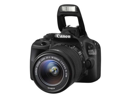 Canon 100D + EF-S 18-55mm f/3.5-5.6 IS STM + EF 75-300mm f/4-5.6 III – image 9