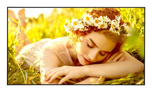 LG 86UL5Q-E Signage Displ 86inch ADS